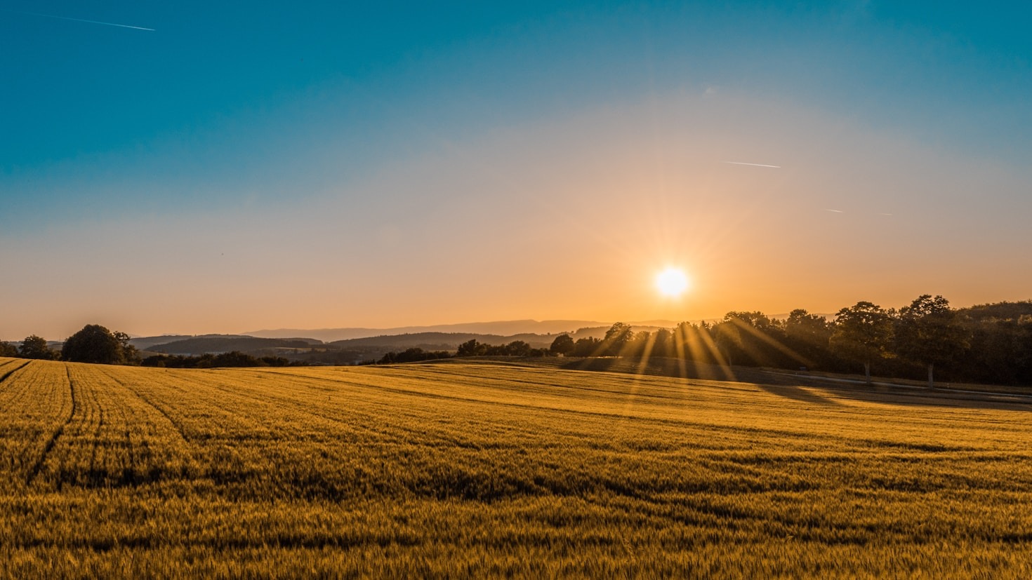 Como a IoT está transformando o agronegócio