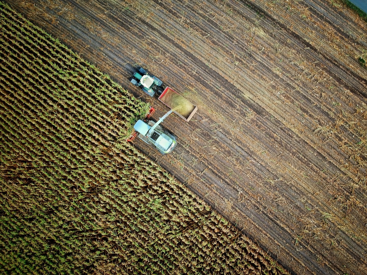 Tecnologias HawkSensors: conectividade no campo
