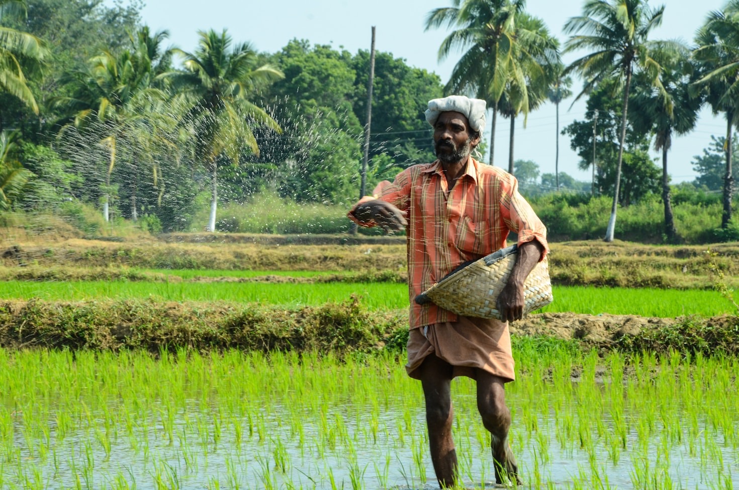 Redes LoRa e NB-IoT: o futuro do agro